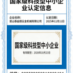 National Science and Technology-based Small and Medium-sized Enterprise