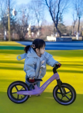 Children's balance bike lightweight metal frame customization - Kunshan Taiyide Hardware Machinery Co., Ltd.